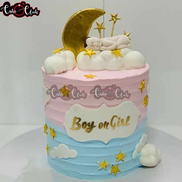 Baby Shower Boy Or Girl Cake