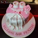 Welcome Our Princess