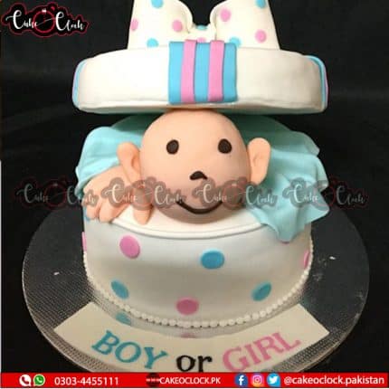 Boy Or Girl Baby Shower Cake