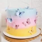 butterfly cake