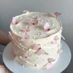 butterfly theme cake