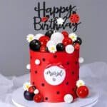 ladybug theme cake